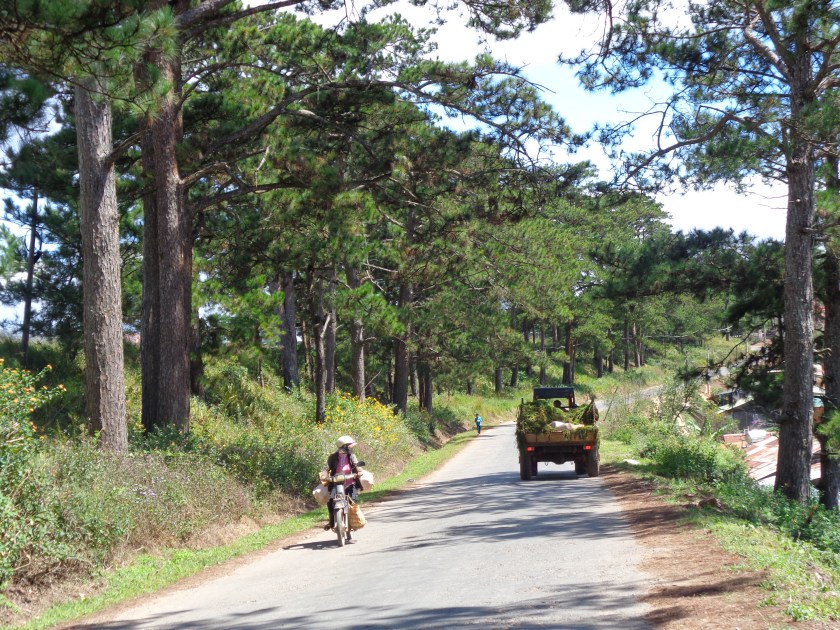 Route entre Cau Dat et Dalat, 24 novembre 2014.
