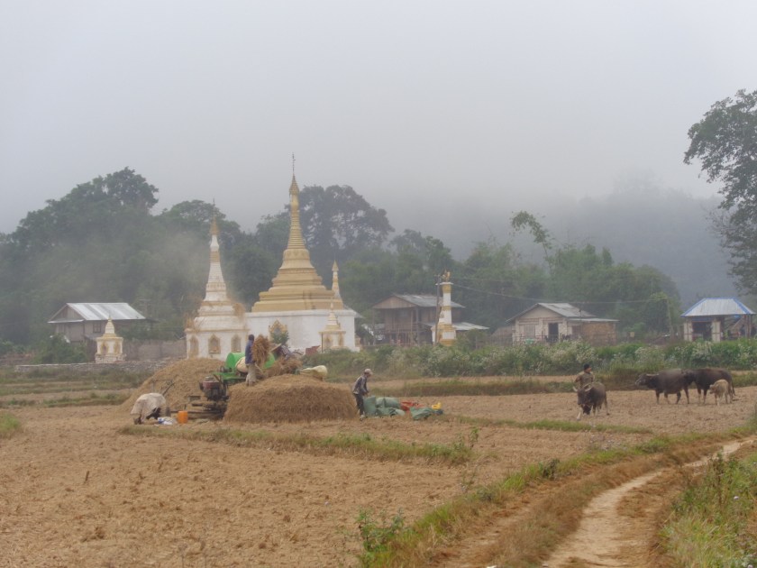 C'est aussi "l'hiver" en pays shan, et le brouillard, le matin, ne se lève qu'autour de 9h30 ou 10 heures...