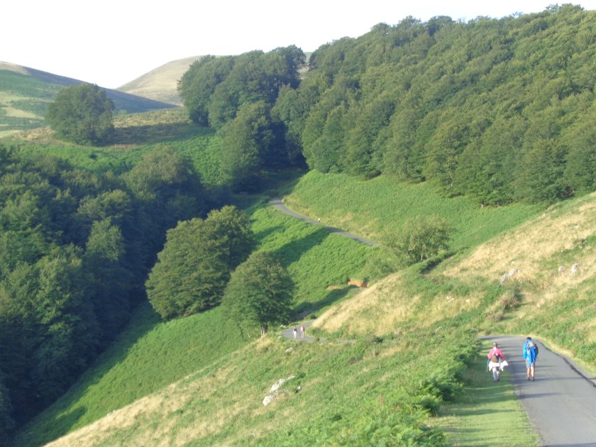 Très peu de pèlerins sur la route ce dimanche 26 juillet... Ici, deux kilomètres environ après le refuge d'Orisson, et à dix kms de St-Jean-Pied-de Port...