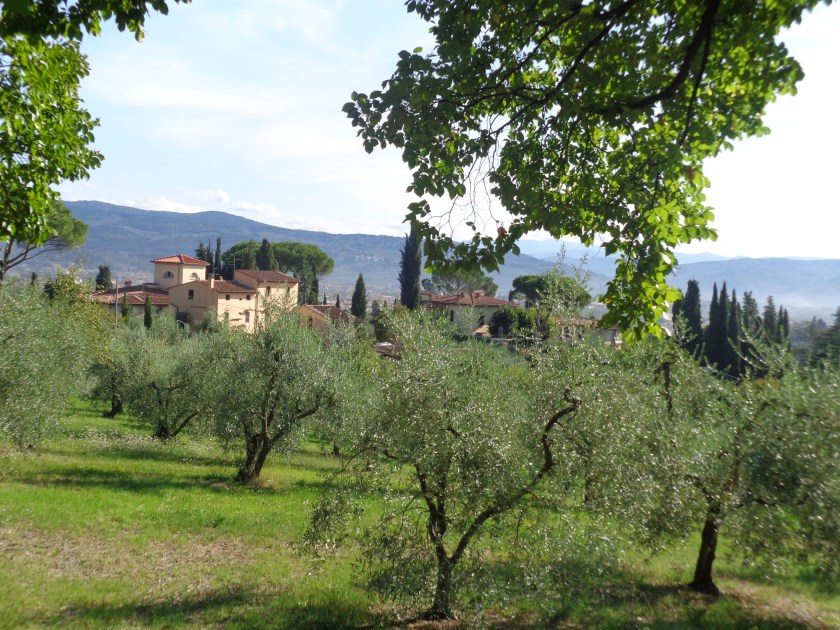 Sur les hauteurs de Florence, quartier Monte Alle Groci, septembre 2015.