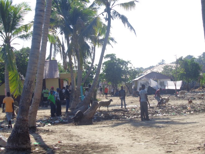 Marché de Madame Bernard...