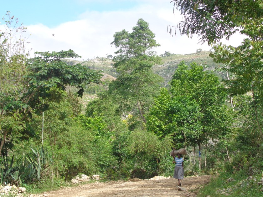 À l'est du village de Marigot et, ci-dessous, première crevaison...