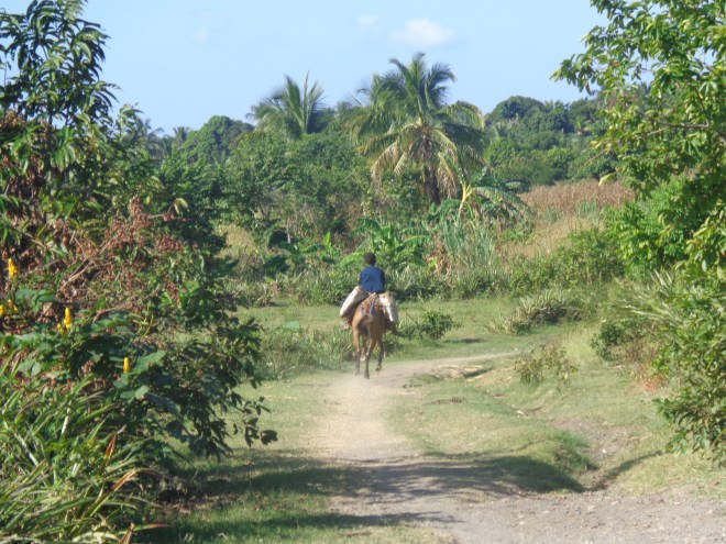 Aucune voiture ne circule sur l'île-à-vache...