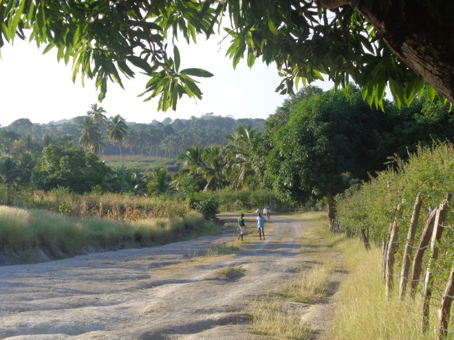 Route entre l'anse Dufour et le village de Madame Bernard, jeudi 21 janvier
