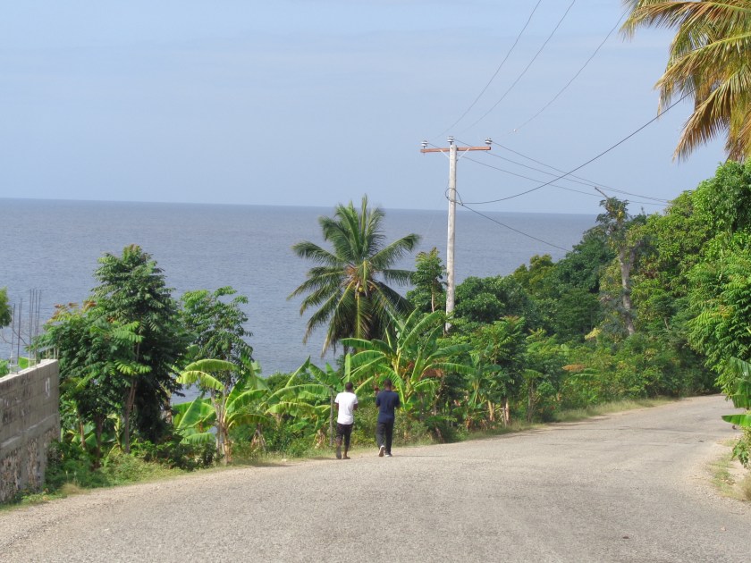 Route entre Port-Salut et Port-à-Piment, département du sud, samedi 16 janvier.