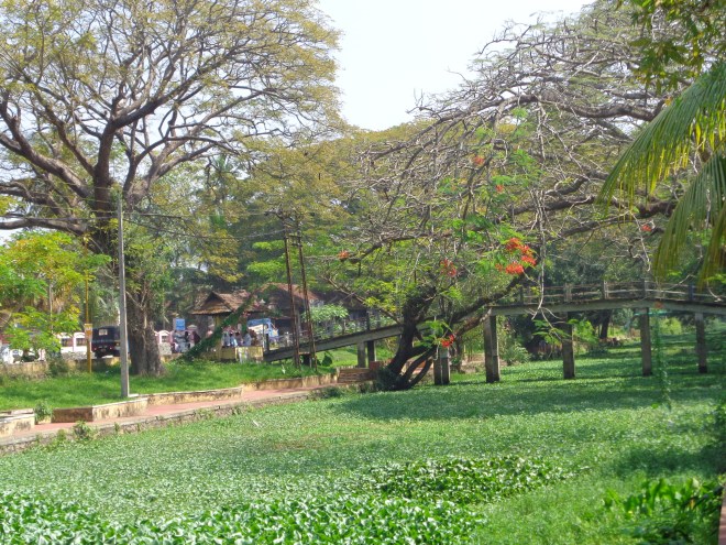Un des nombreux canaux d'Alleppey et, ci-dessous, une des principales rues du centre-ville... 