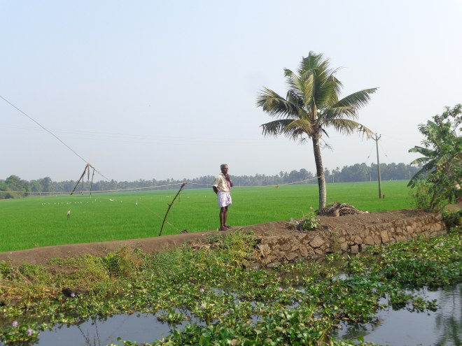 Entre Alleppey et Kottayam...