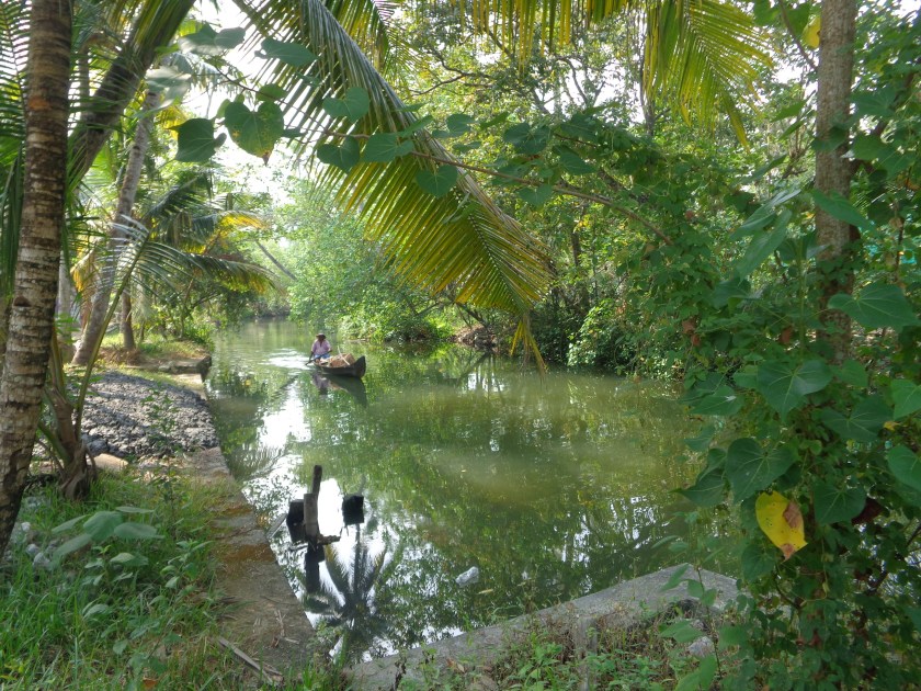 Marchand de poison dans les canaux de Munroe Island, lundi 19 décembre...
