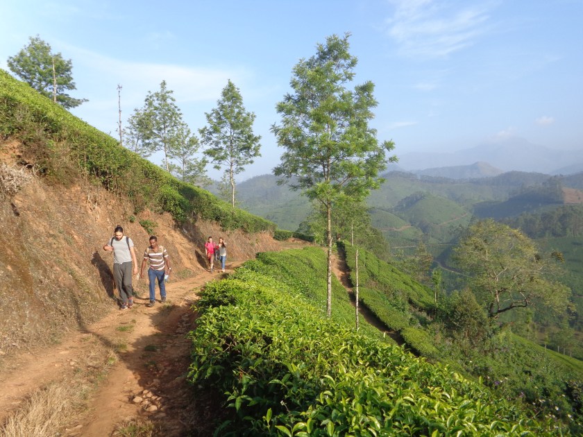 munnar-3