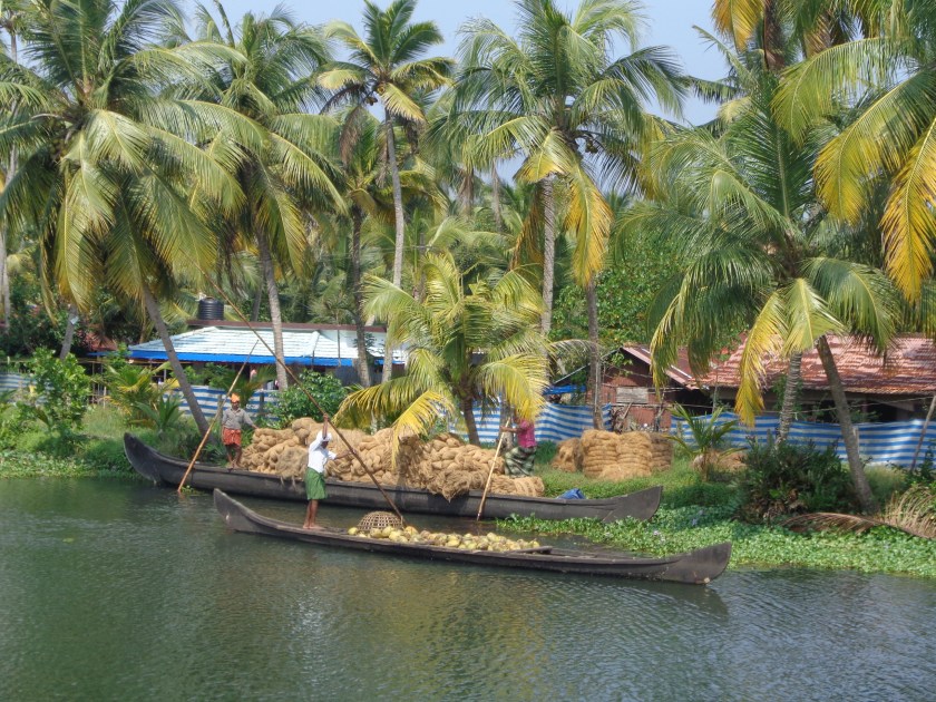 En bateau, entre Alleppey et Kollam, le samedi 17 décembre. Les pirogues transportent de la fibre de noix de coco, une des principales ressources du Kerala. Matériel grâce auquel on fabrique de la corde, des brosses, des tapis... 