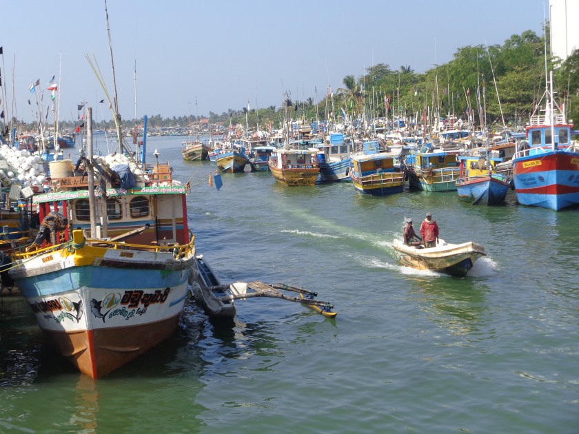 Le petit port de Negombo, samedi 24 décembre