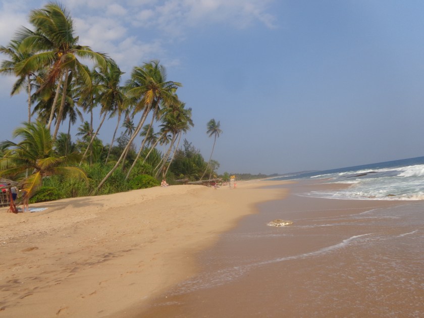 Plage de Tangalle, lundi 16 janvier. Ci-dessous, le centre-ville de Galle, la grande métropole du sud, qui a aussi sévèrement été touchée par le tsunami... 