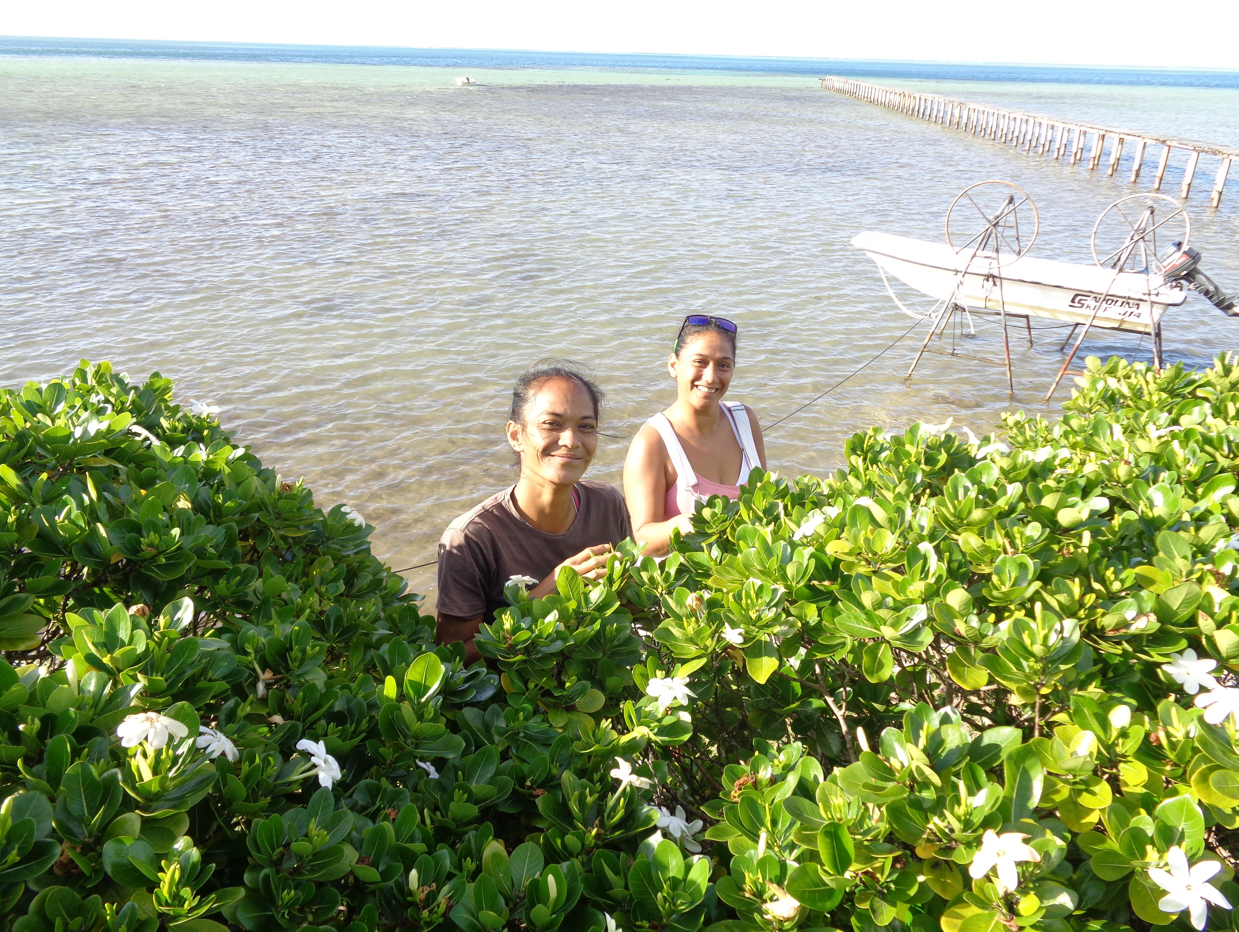 Hinanui et Herenui cueillent des fleurs de tiare 2dec