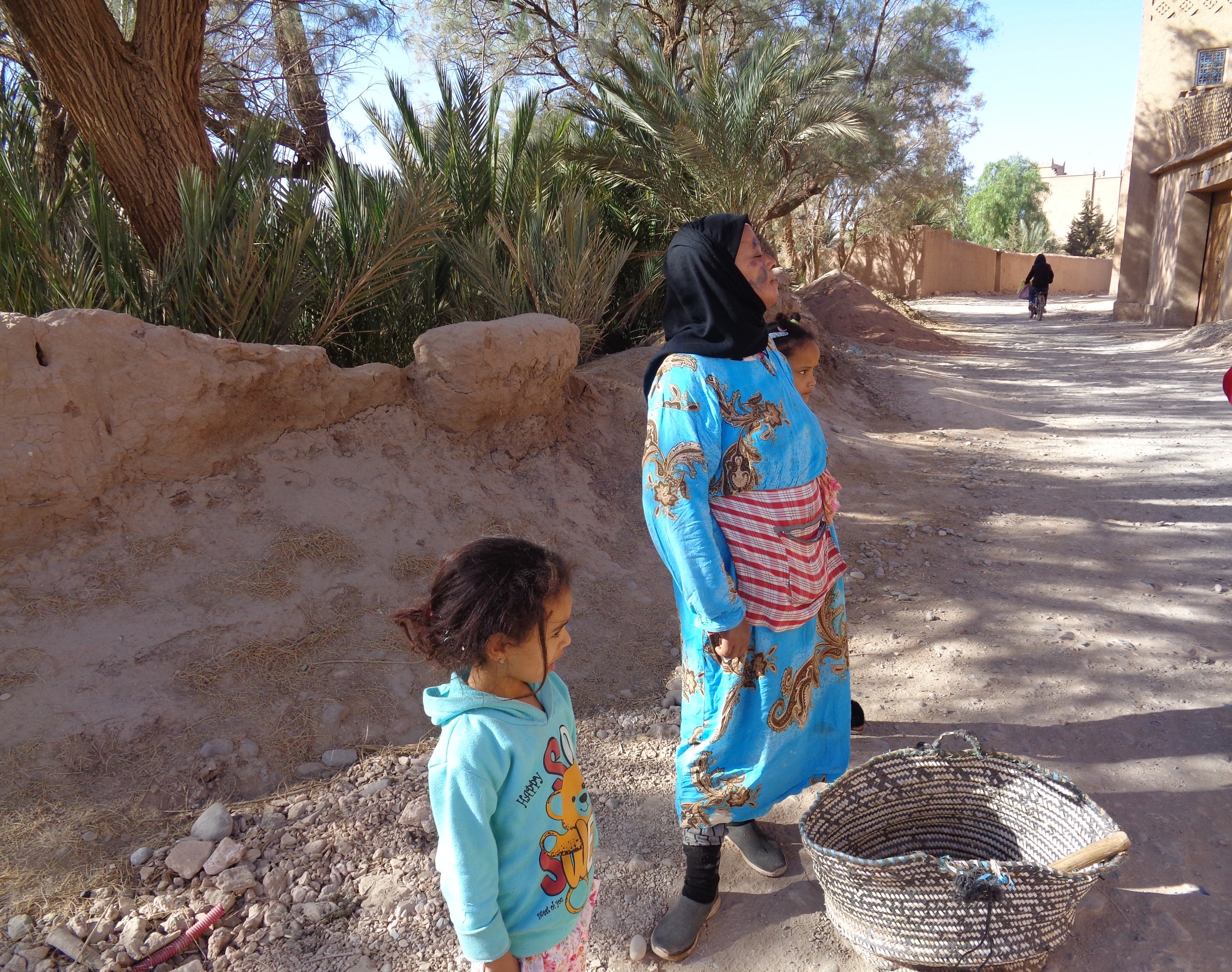 23 novembre 2023, 1 palmeraie de Skoura, sud du Maroc