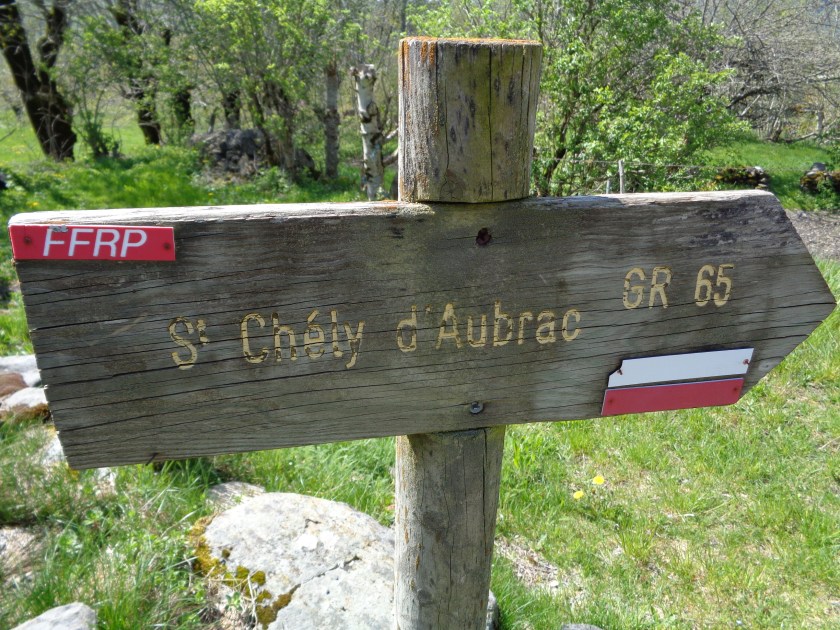 Aubrac 6 mai 2018.JPG5