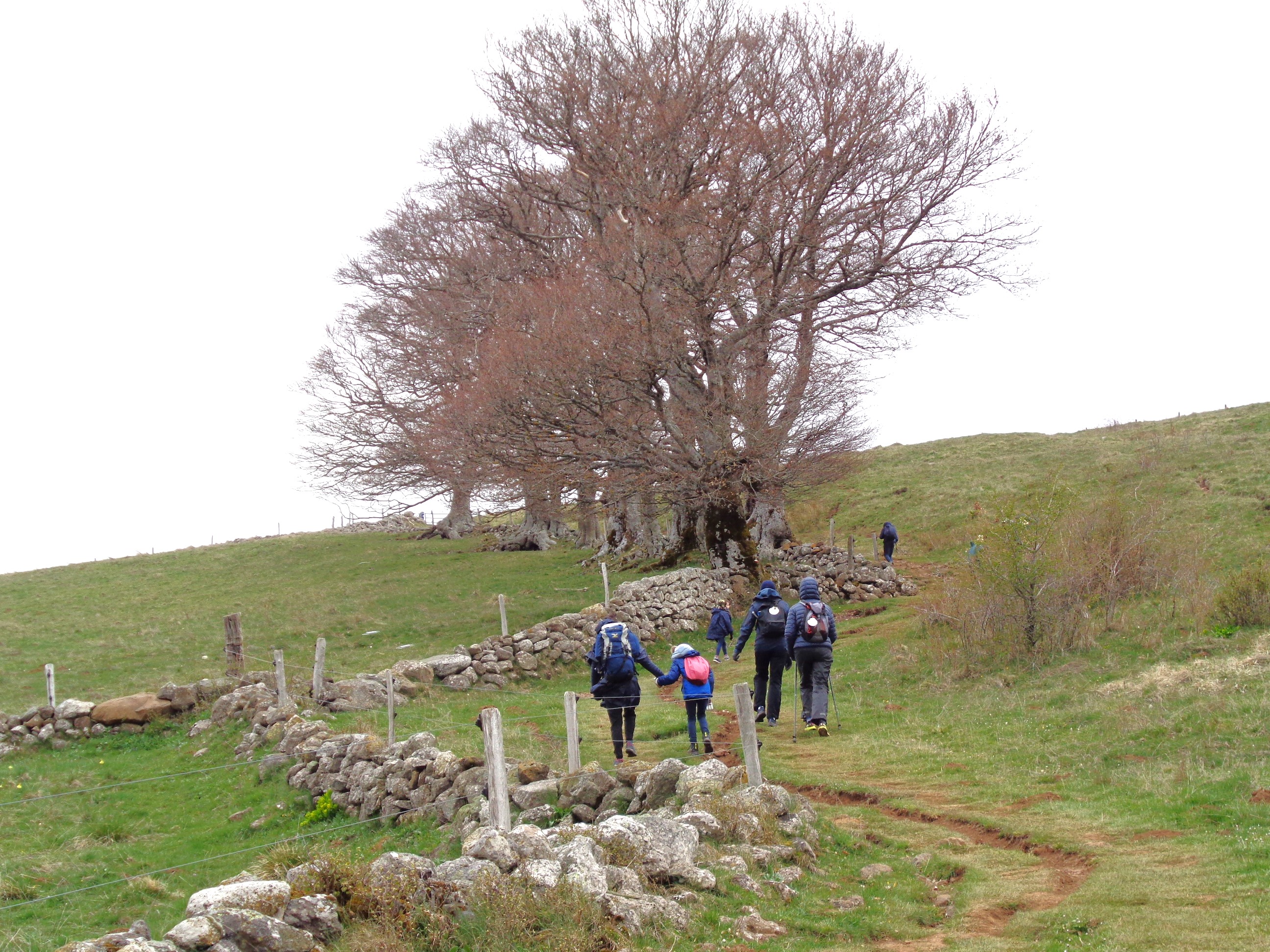 22 avril 2024 aubrac