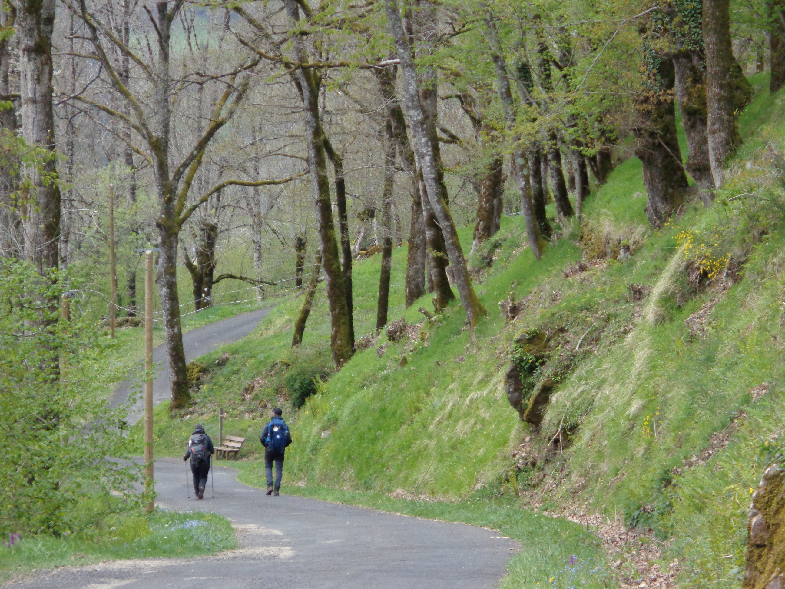 22 avril 2024 aubrac2