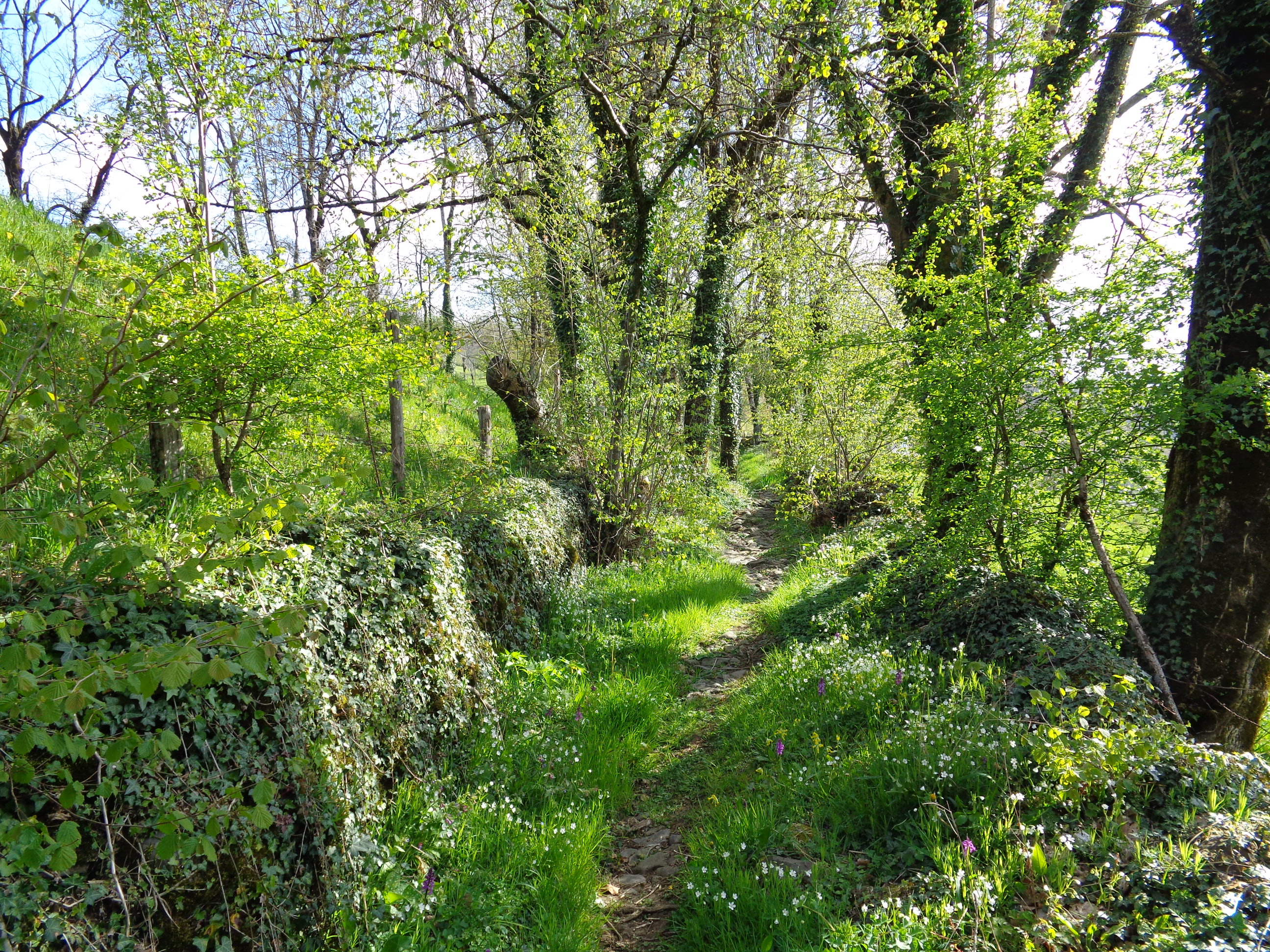 StChély23 avrilsentier