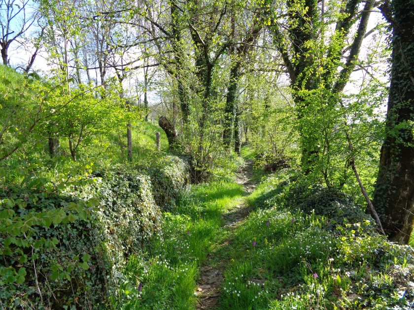 StChély23 avrilsentier