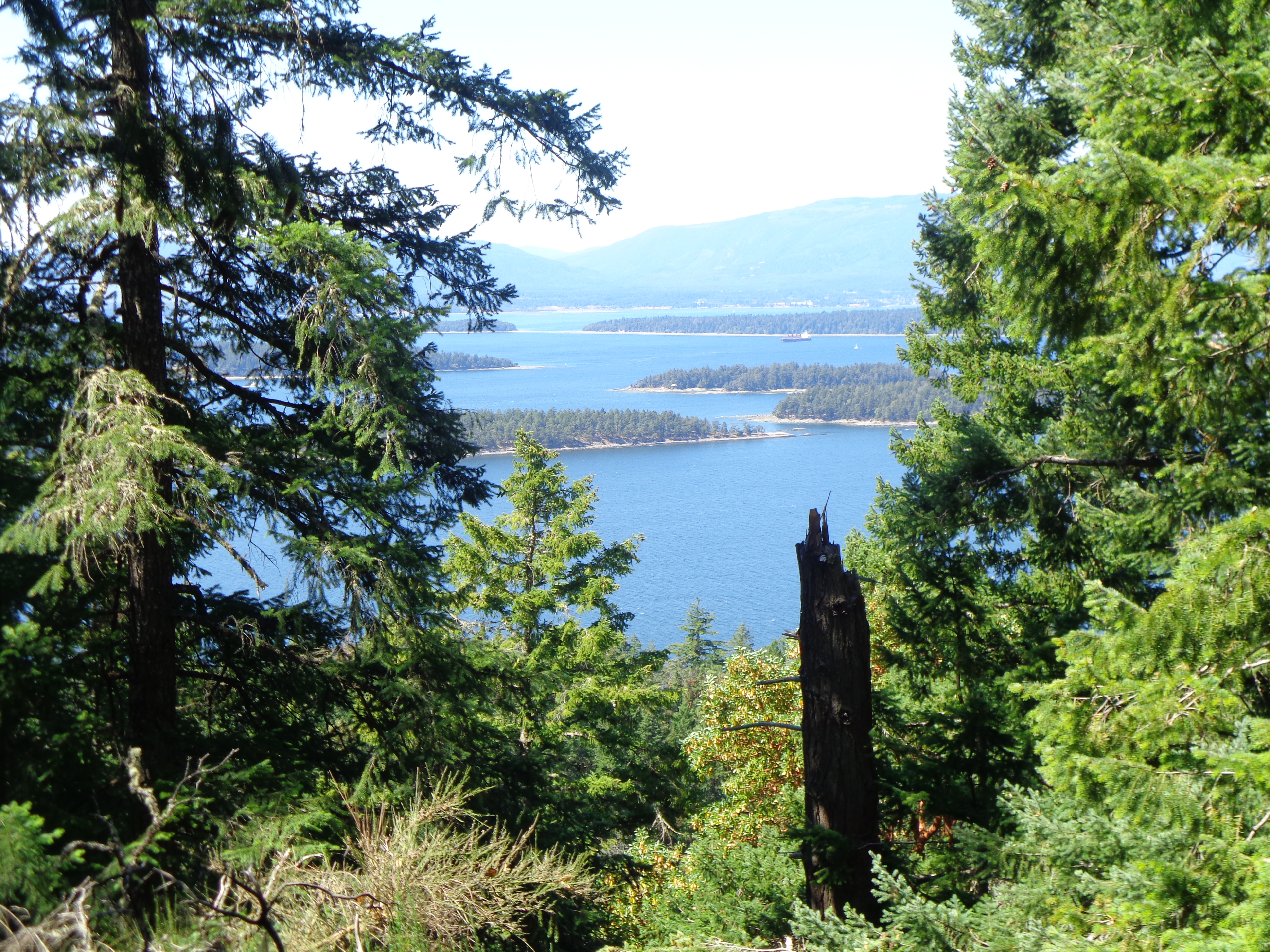 19 juillet 2024 Galiano Bodega Ridge Hike 4