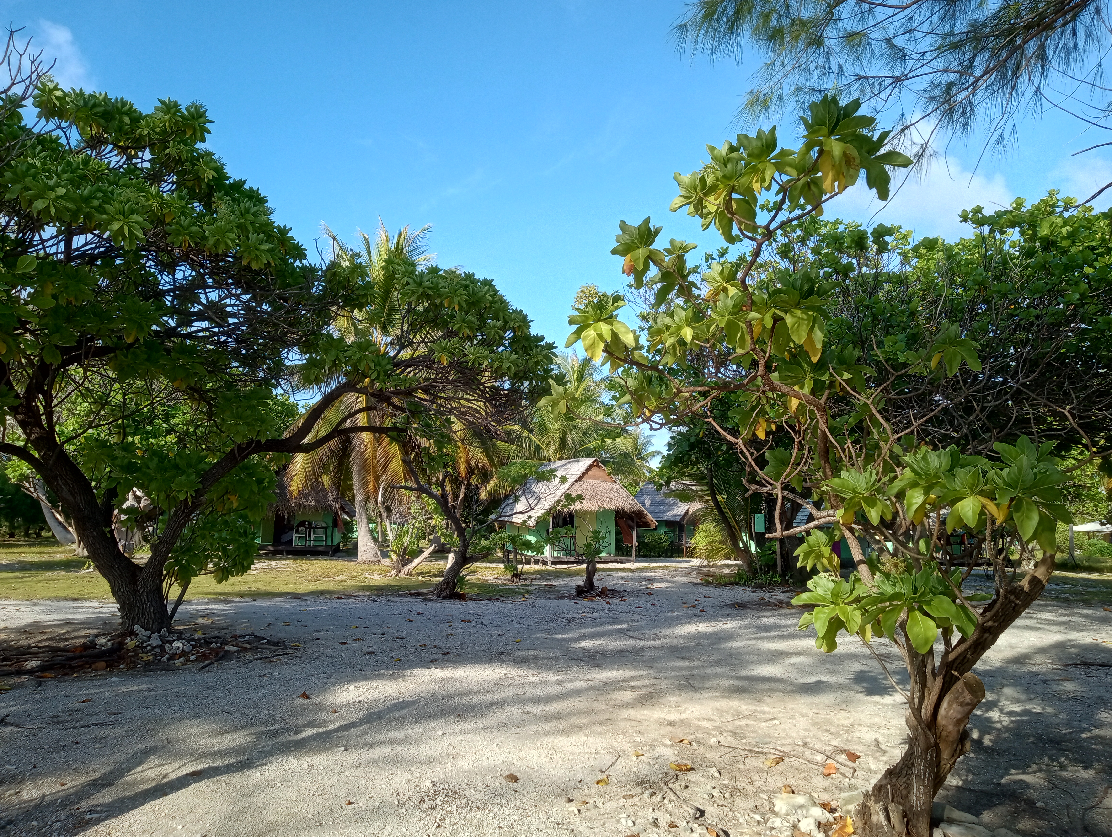 Ma cabane à Fakarava