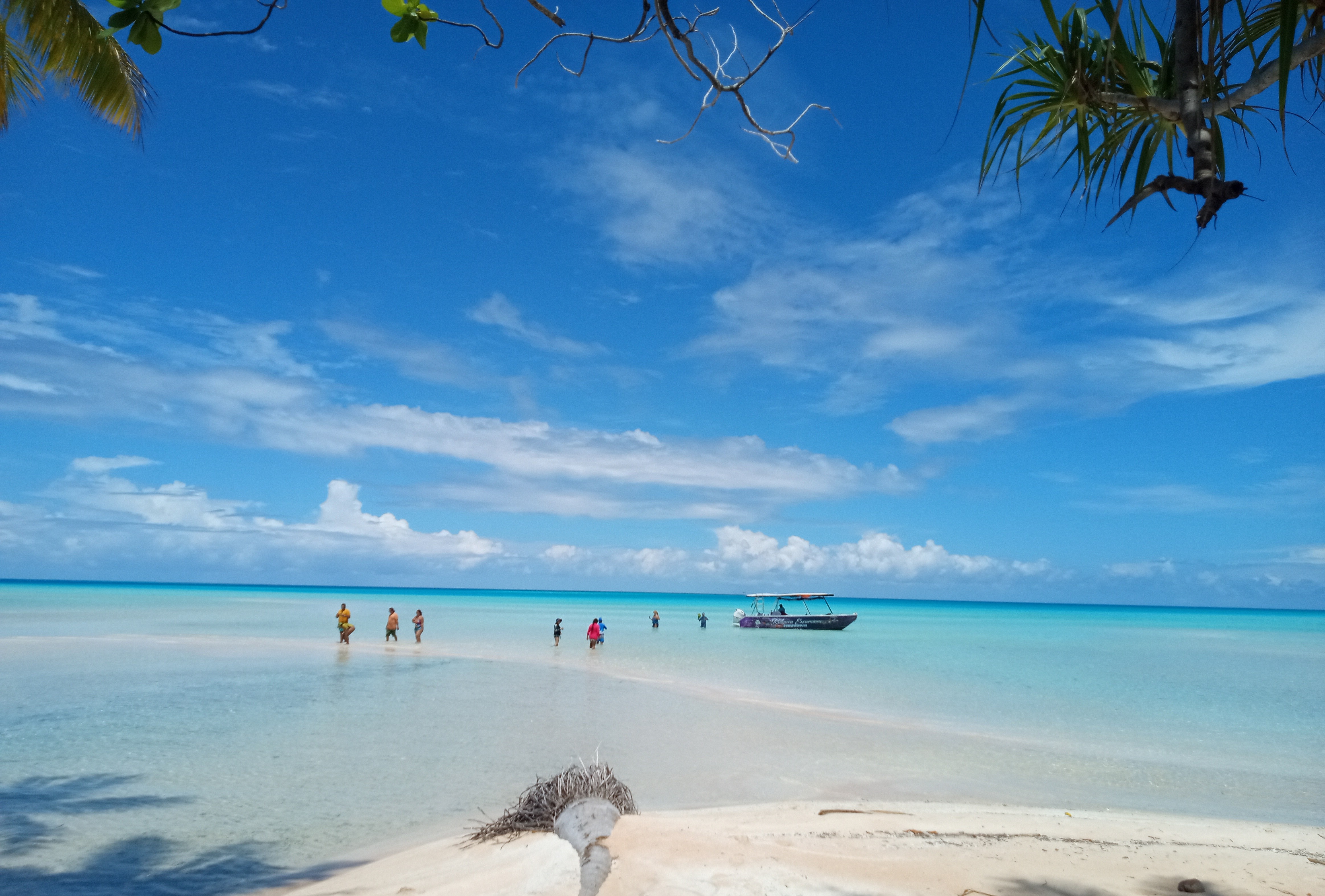 sables roses 1 27 dec 2024