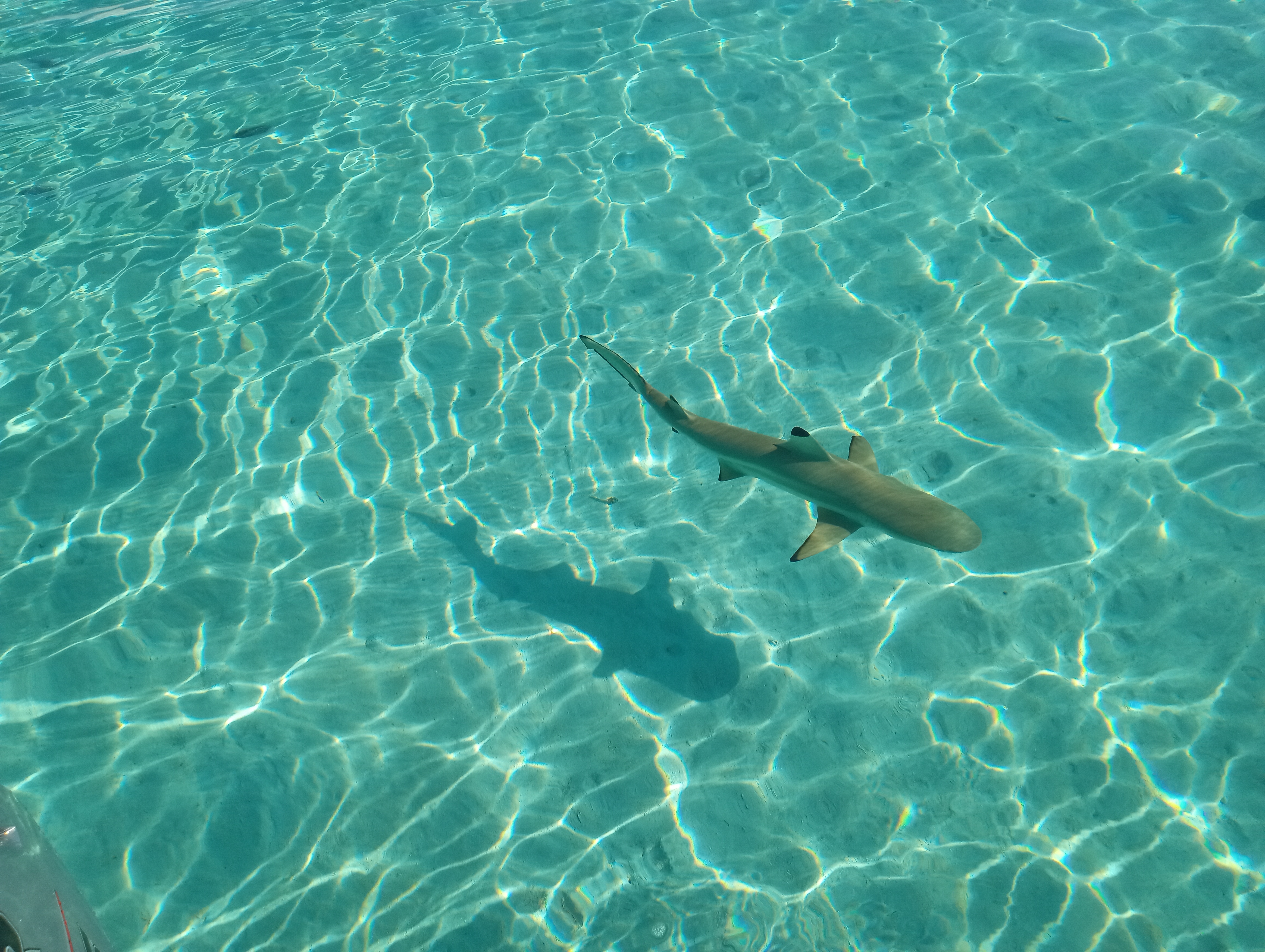 Lagon de Morea le 6 janvier 2024